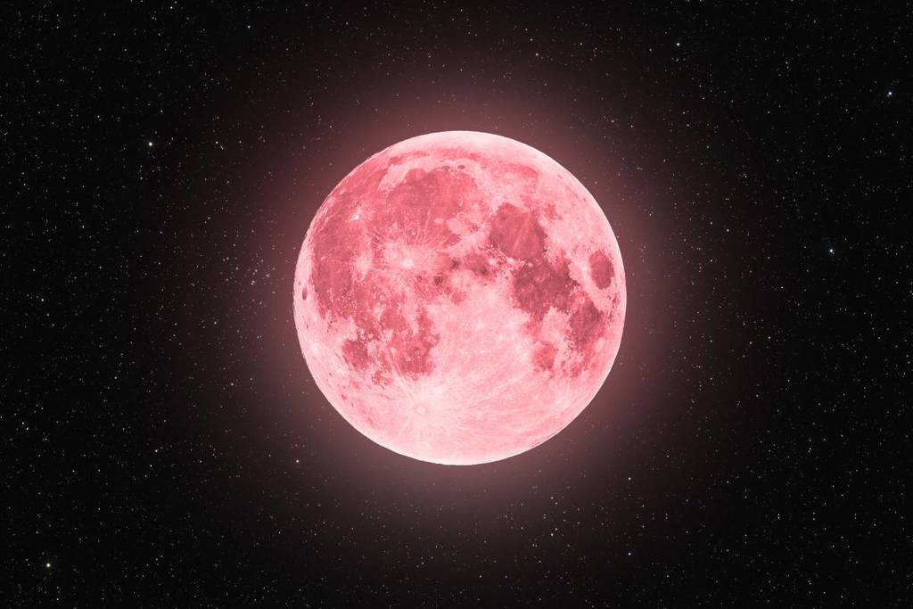 Pink moon MOON PINK